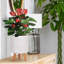 Plaited Style Cylinder Round Planter with Feet-2146352481-2146352480