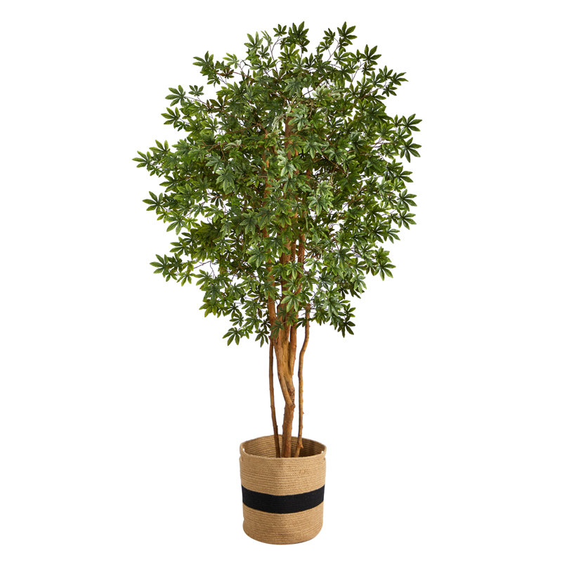 72'' Faux Maple Tree in Burlap, Cotton Planter