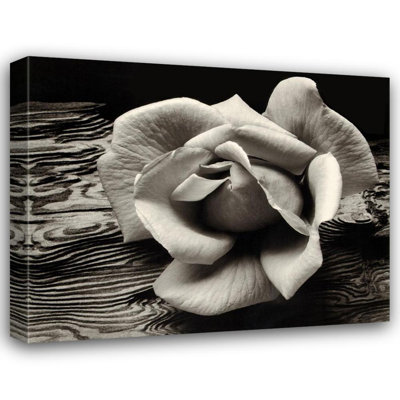 Rose et bois flottant IMA-A111