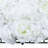 6 PCS Flower Wall Panels