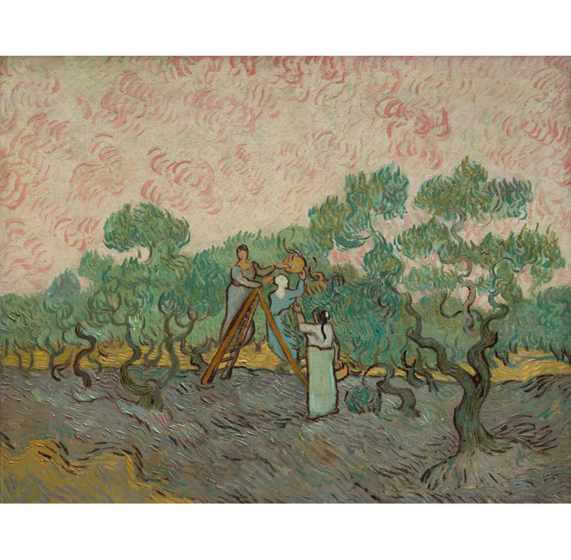 "Les femmes ramassent les olives" par Vincent Van Gogh - Art mural sur toile tendue avec châssis, H 18 po x l 14 po