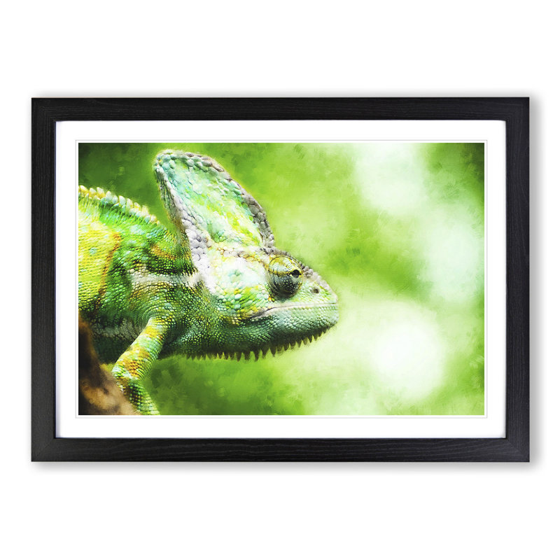 Chameleon Lizard Vol.1 - Framed Print, 27cm H x 36cm W x 2cm D, Black Framed