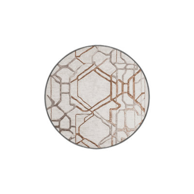 Silky Soft Plush Gray Area Rug