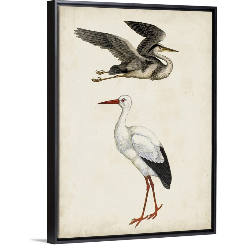 Art sur toile Egret and Heron Kids, Cadre pour toile flottant noir, H 24 po x l 18 po x P 1,2 po