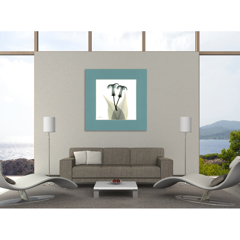 "Stephanoitis", toile tendue par Albert Koetsier, H 48 po x l 48 po x P 1,5 po