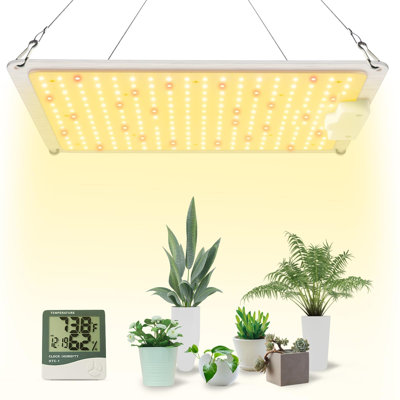 Naomi Grow Light