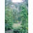 152cm W x 53cm D Steel Arbour in Black