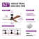 Atte 52'' Ceiling Fan with LED Lights