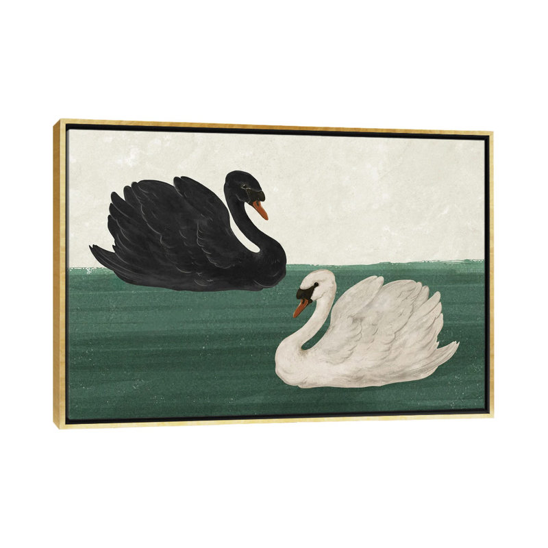 Cygne noir cygne blanc_1PC6, Cadre flottant doré, H 32 po x l 48 po
