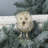 Pipa Owl - Tail Side