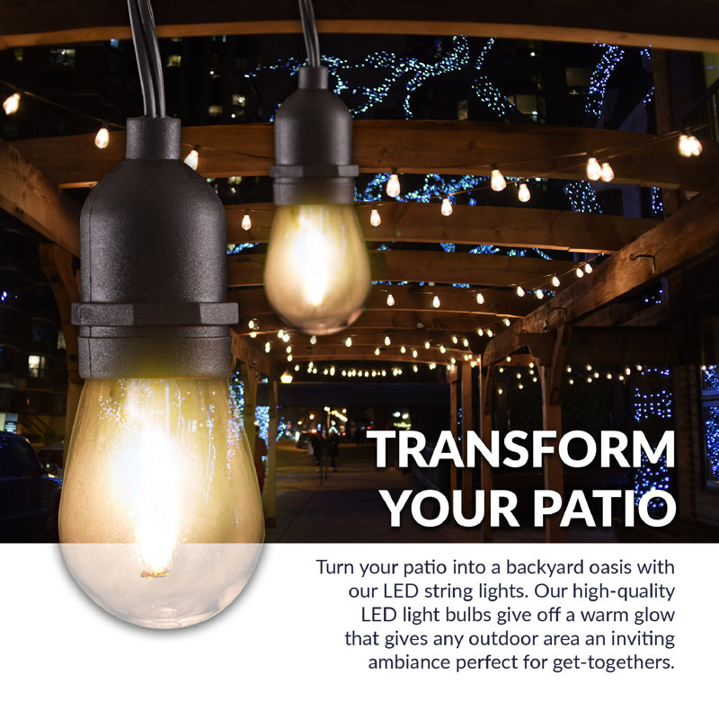 Outdoor 16 - Bulb 48'' Plug-in String Light