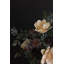 BOTANICA # 3436