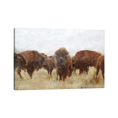 Buffalo by Bluebird Barn - Wrapped Canvas Painting