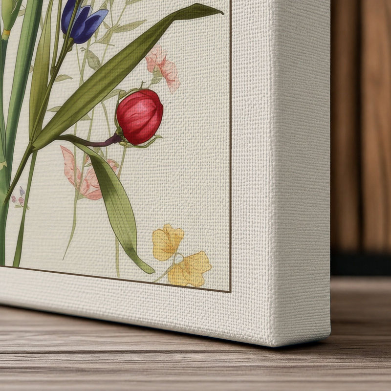 Iris and Specimen Botanical - Wrapped Canvas, 18x12 - 45.7 x 30.5 cm, Cream Border