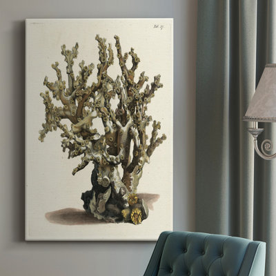 Antique Coral II, impression sur toile tendue