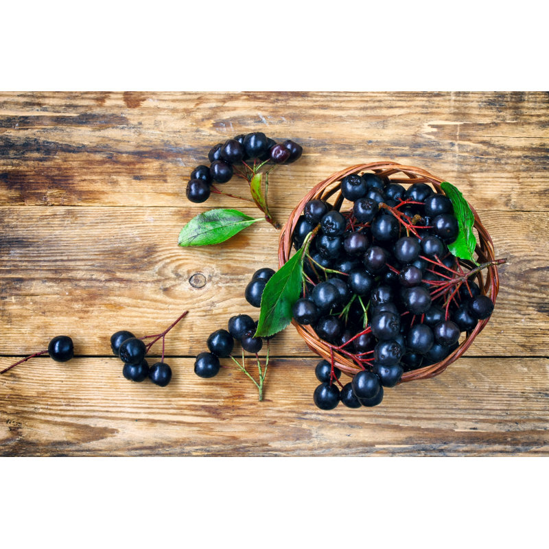 Chokeberry by Xanya69 - Wrapped Canvas Print, 61cm H x 91cm W