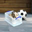 Ensemble de bacs de rangement en plastique-1231054066-1231054069