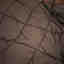 Photos des clients 2 de 2