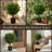 24'' Faux Topiary in Planter
