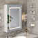 Glendine 19.7'' W 27.6'' H Frameless Medicine Cabinet with Mirror and 2 Fixed Shelves