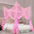 Rose est en rupture de stock