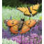 Piquet de jardin Hicran-594772884-655099372