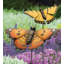 Piquet de jardin Hicran-594772884-655099375