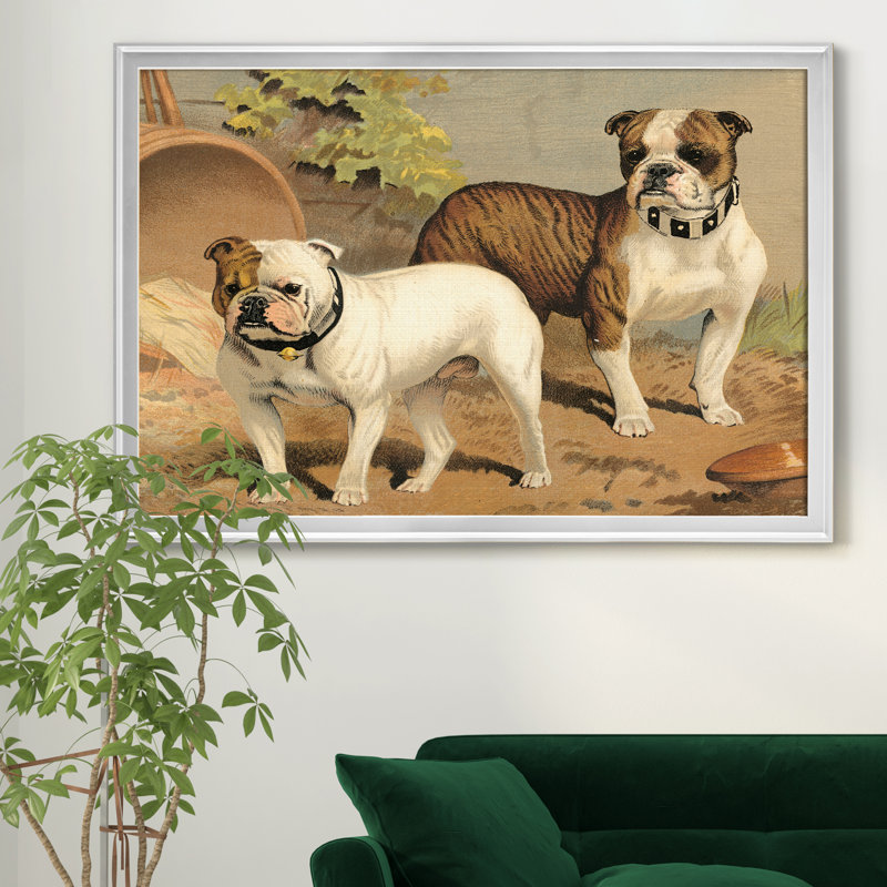 Bull Bulls - reproduction de photo sur toile, H 26,5 po x l 36,5 po x P 1,5 po, Argent