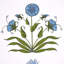Schumacher x Marie-Anne Oudejans Poppy Stripes Wallpaper-1332631821