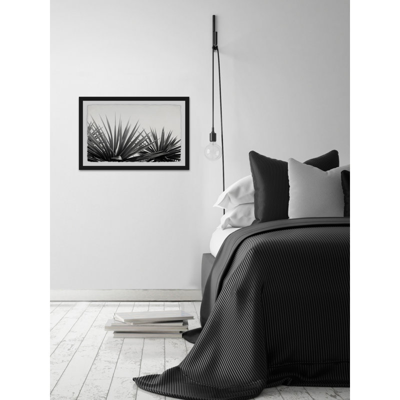 Pointed Leaves - Single Picture Frame Print, 41cm H x 61cm W x 4cm D