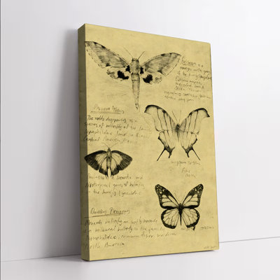 Affiche murale encadrée (1 pièce), illustration vintage de papillons sur toile, dessin d'insectes à la main avec notes scientifiques, décoration botanique rustique pour salon, chambre, bureau, cadeau idéal pour les amoureux de la nature