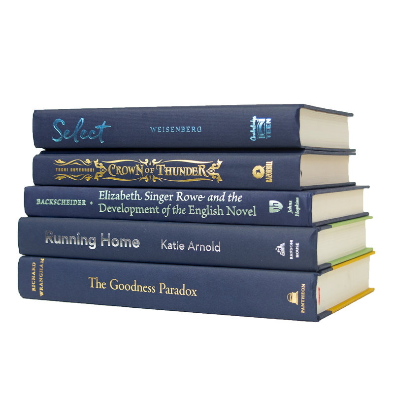 Livres décoratifs - pile de livres bleu marine - 5 livres bleus