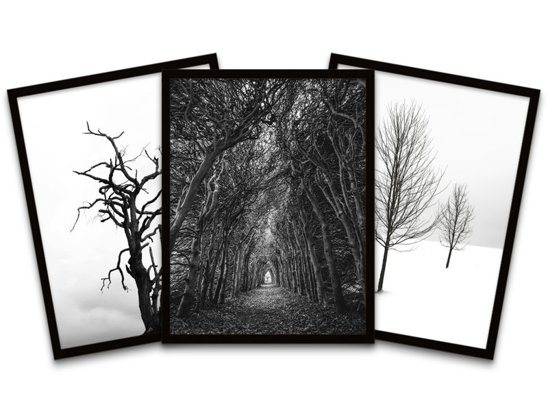 Solitude Lonely Tunnel Forest Trees - 3 Piece Print Set