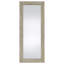 Miroir pleine grandeur Andropov