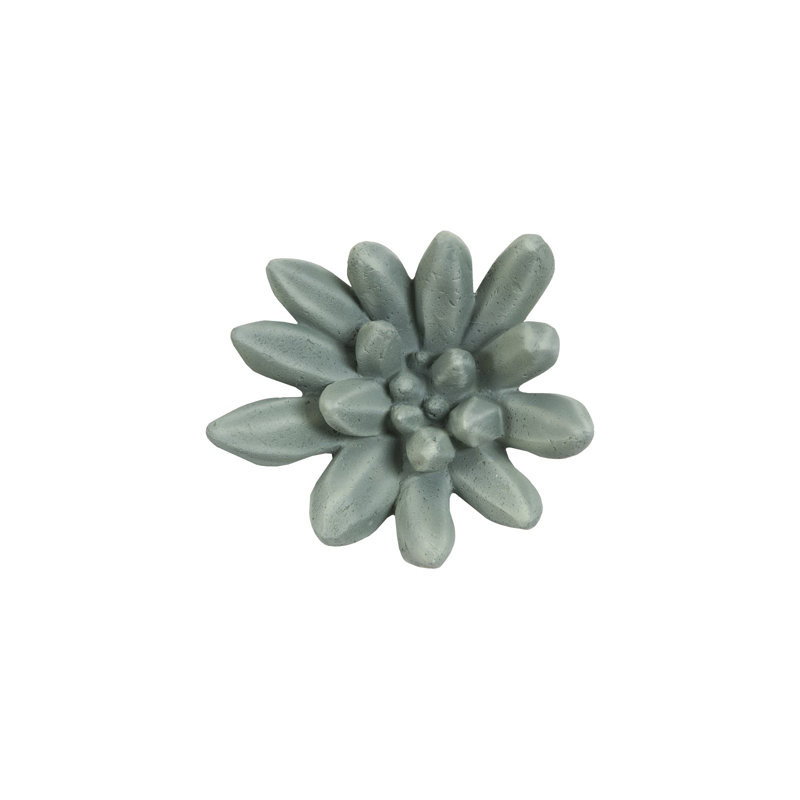 Compactum Succulent Wall Art, Green