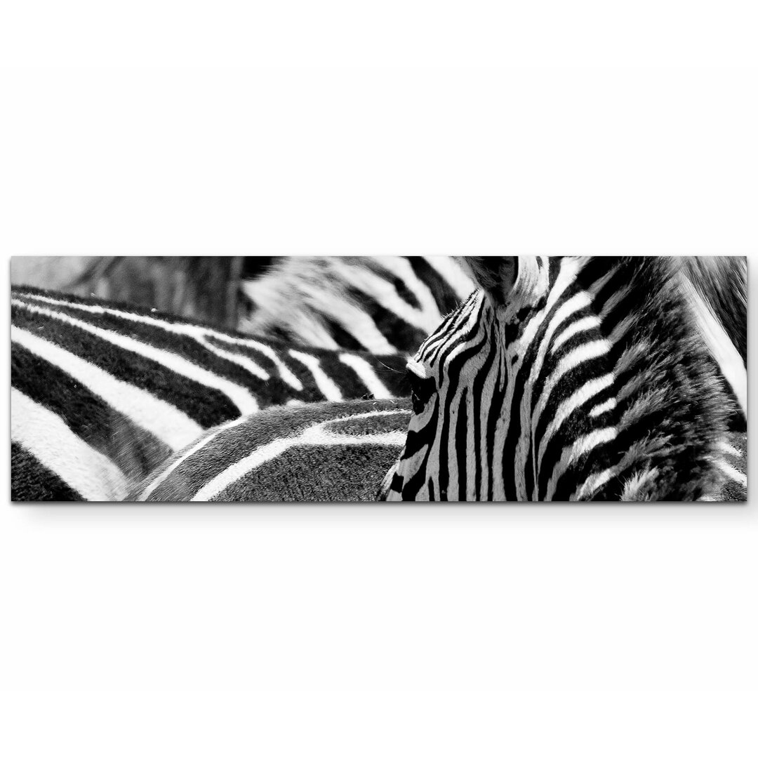 Leinwandbild Zebras in Kenia – Nahaufnahme