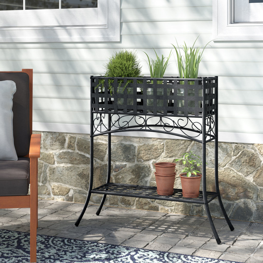 Abbottsmoor Metal Plant Stand Darby Home Co Finish: Black