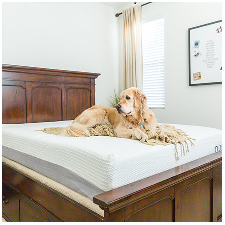 Nora mattress image from Kristin's blog