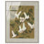 Angel Trumpet High-Gloss Frameless Acrylic Glass Wall Art Floral & Botanical Print by Oliver Gal, Ready to Hang, 16 x 20-16273590-16273608