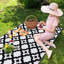 Tapis Paizleigh-1945775481
