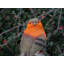 Harbour Animals UV Resistant Plastic Garden Statue