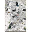 Uptown Manhattan Print by Thom Filicia