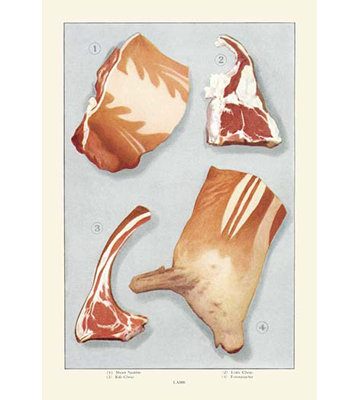 Cuts of Lamb Vintage Advertisement