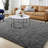 Carletta Indoor Rug