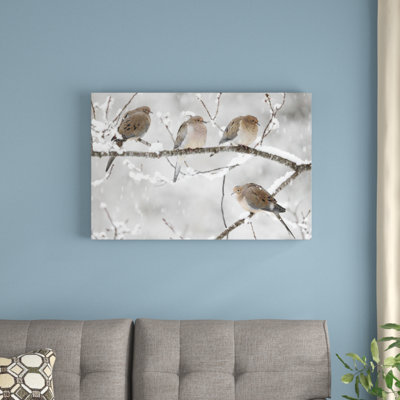 " Mourning Dove Group "