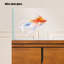 Aquarium ouvert en verre ultra-transparent