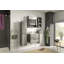 Hanifan Wall Mounting Linen Cabinet