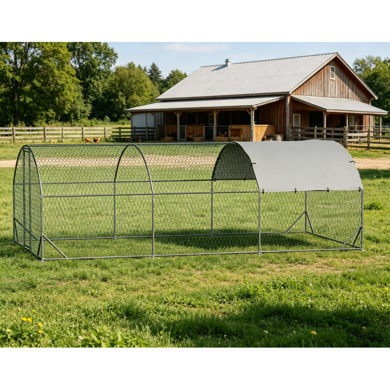 Geraud Chicken Run with Wire Mesh, 198.1cm H x 299.7cm W x 600cm D