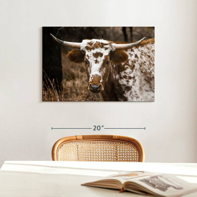 Brampt Longhorn Bull, 16" H x 24" W