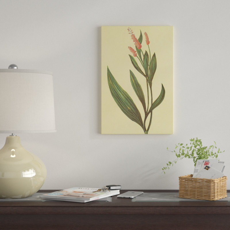 «Water Knotweed», reproduction sur toile, H 26 po x l 18 po x P 1,5 po, Pas de tapis, Toile tendue
